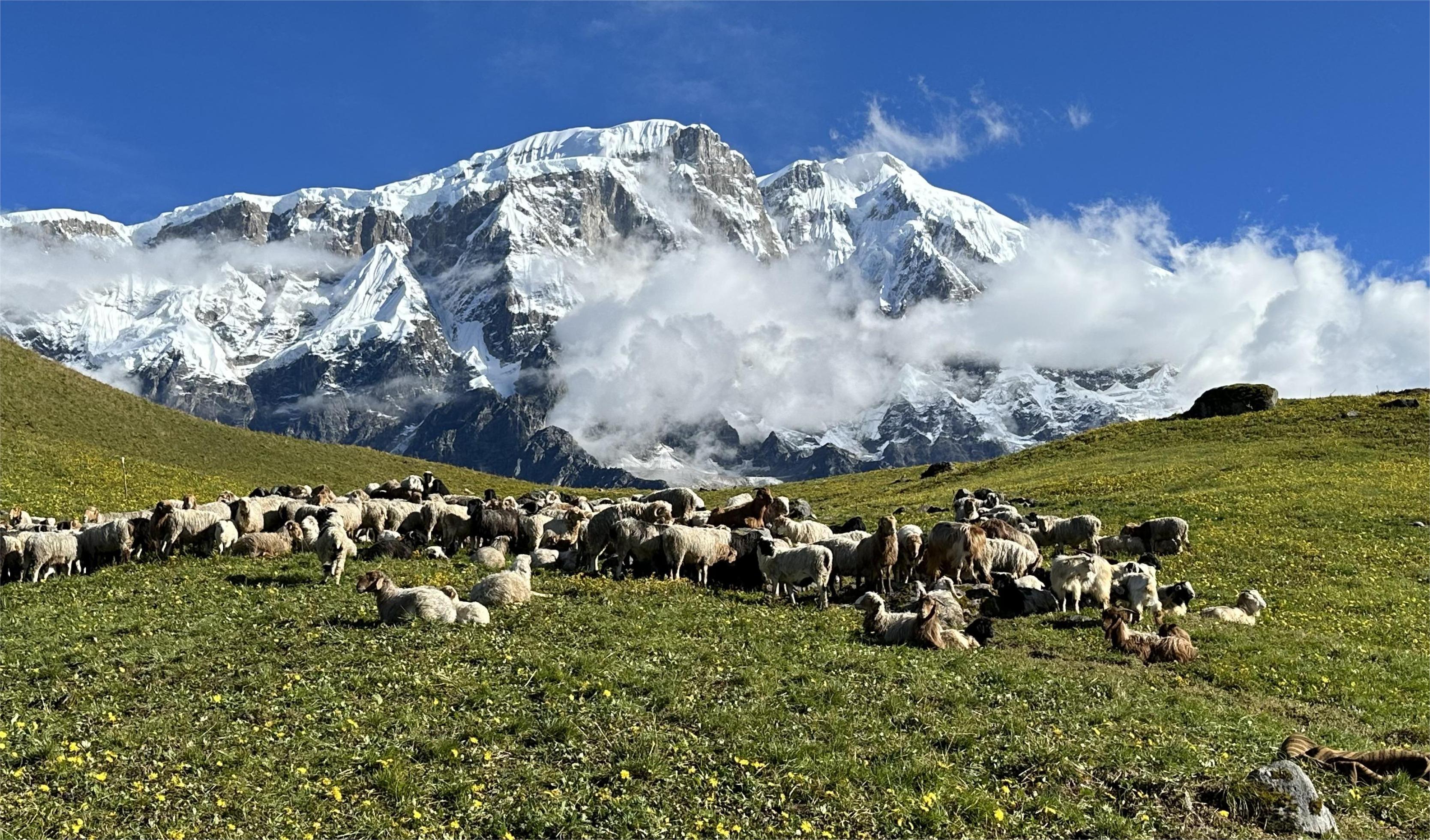 Kori  Danda( hill )trek